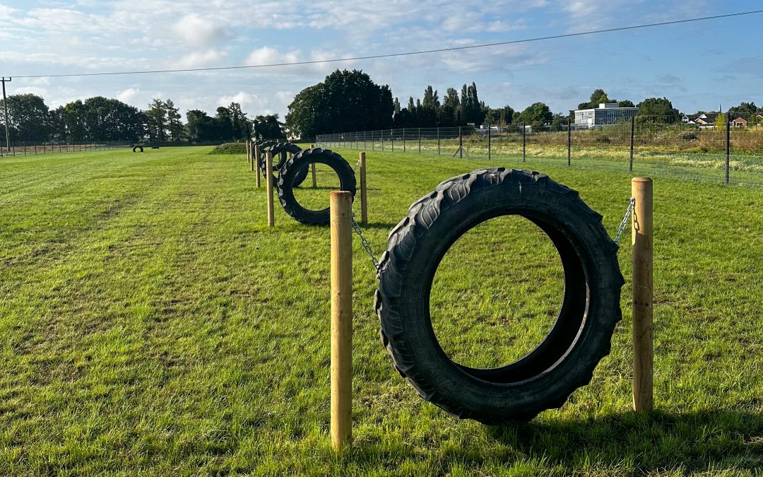 Spring Has Nearly Sprung!