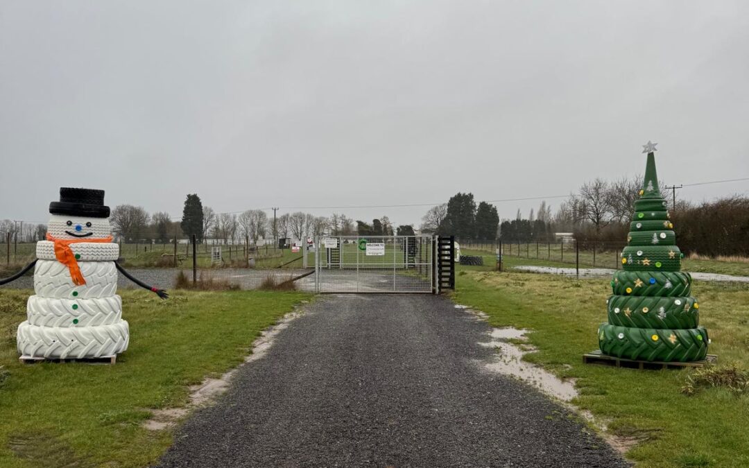 Snowy and Sprucey are ready!