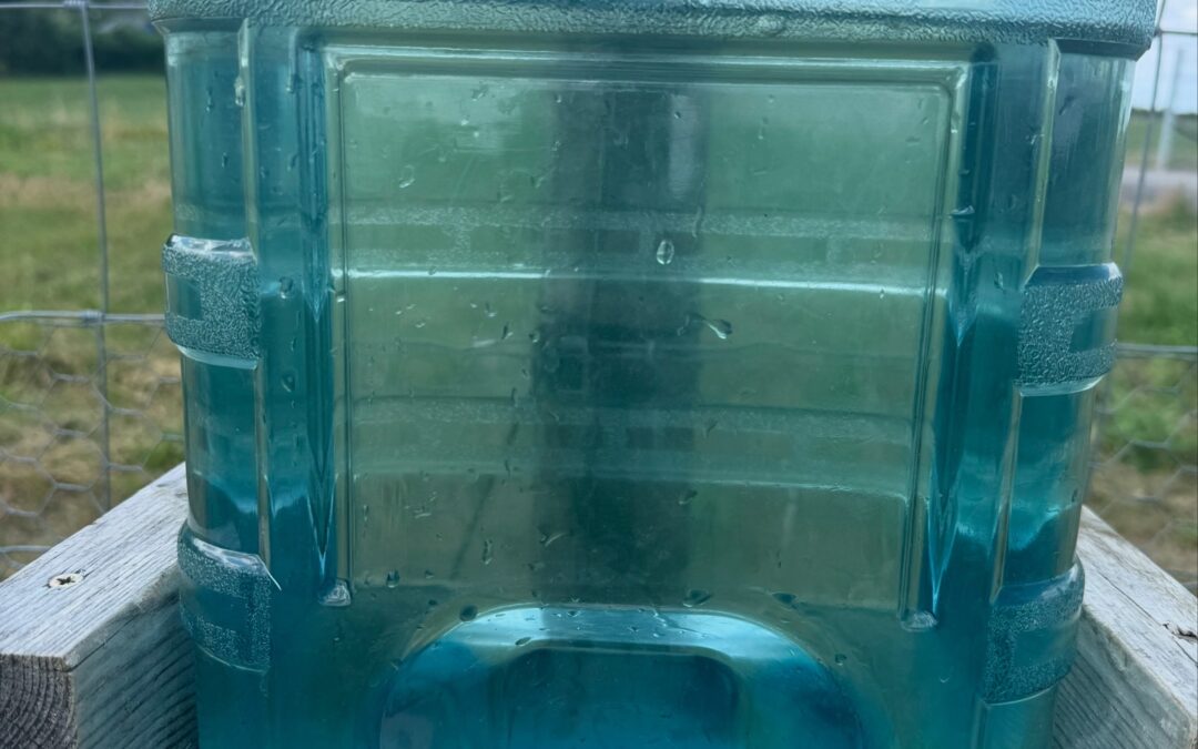 Wow! What a scorcher!