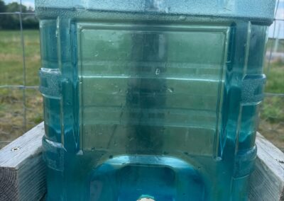 Wow! What a scorcher!