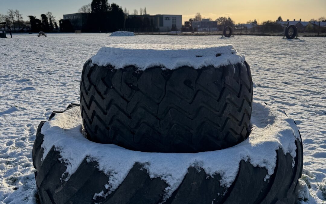 Spring has slowly sprung!