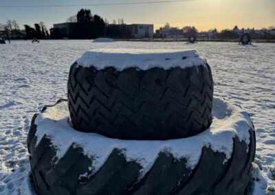 Spring has slowly sprung!